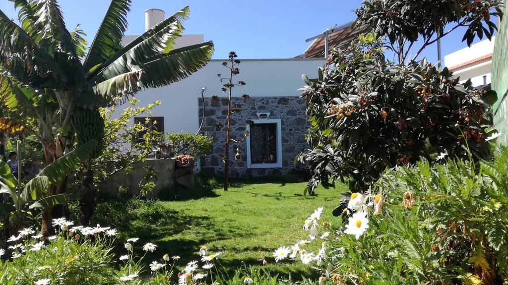 Villa Canaria Piscina Jacuzzi Jardin Santa Maria de Guia de Gran Canaria Buitenkant foto