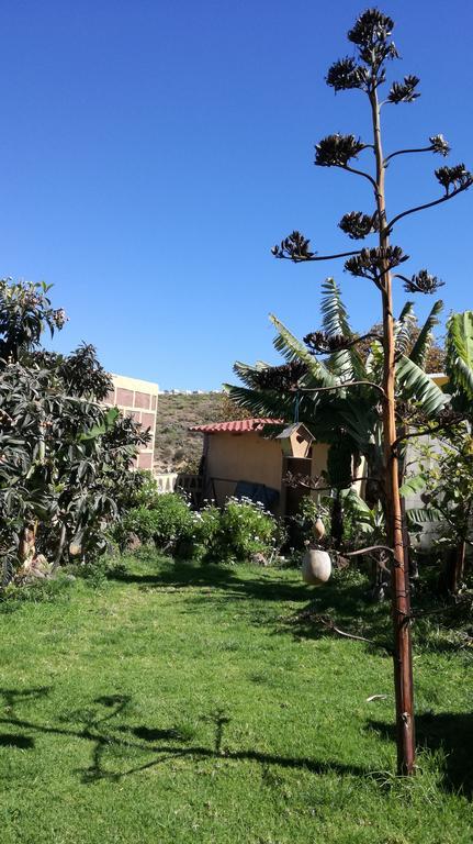 Villa Canaria Piscina Jacuzzi Jardin Santa Maria de Guia de Gran Canaria Buitenkant foto