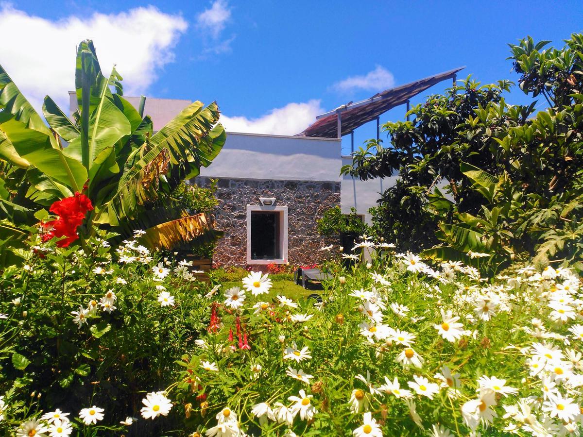 Villa Canaria Piscina Jacuzzi Jardin Santa Maria de Guia de Gran Canaria Buitenkant foto