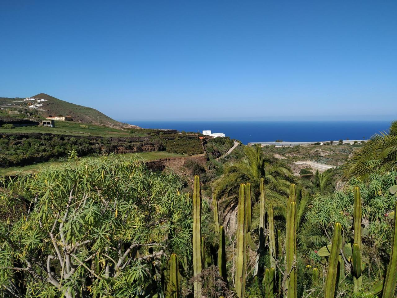 Villa Canaria Piscina Jacuzzi Jardin Santa Maria de Guia de Gran Canaria Buitenkant foto