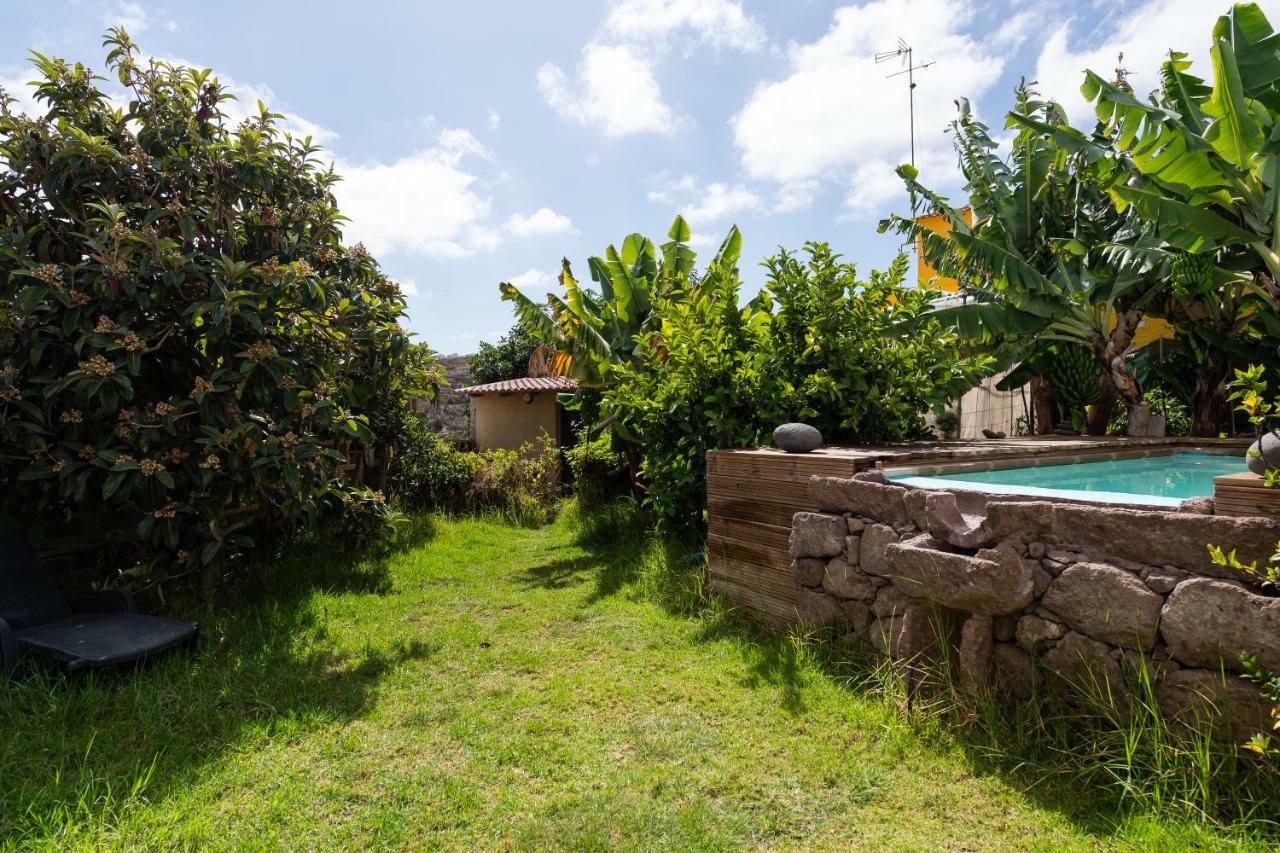 Villa Canaria Piscina Jacuzzi Jardin Santa Maria de Guia de Gran Canaria Buitenkant foto