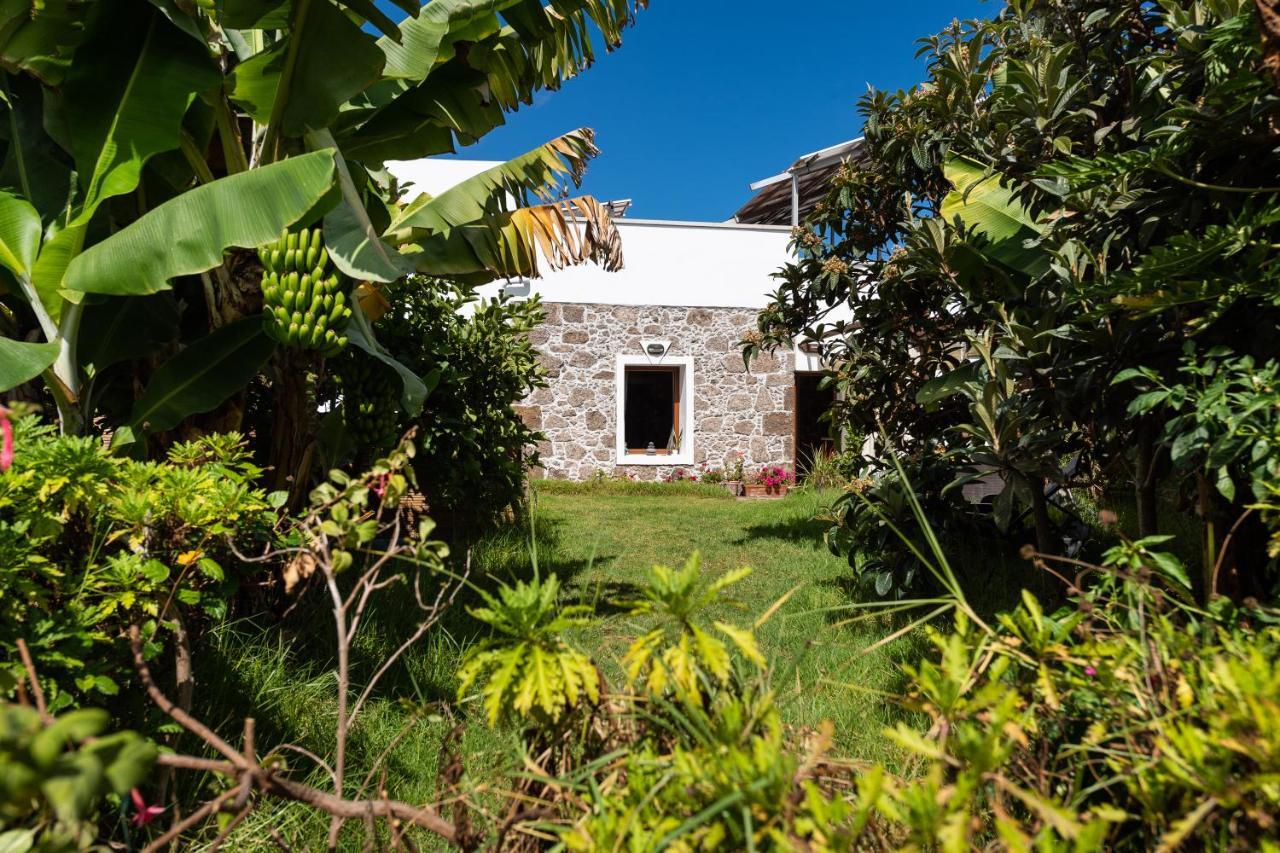 Villa Canaria Piscina Jacuzzi Jardin Santa Maria de Guia de Gran Canaria Buitenkant foto